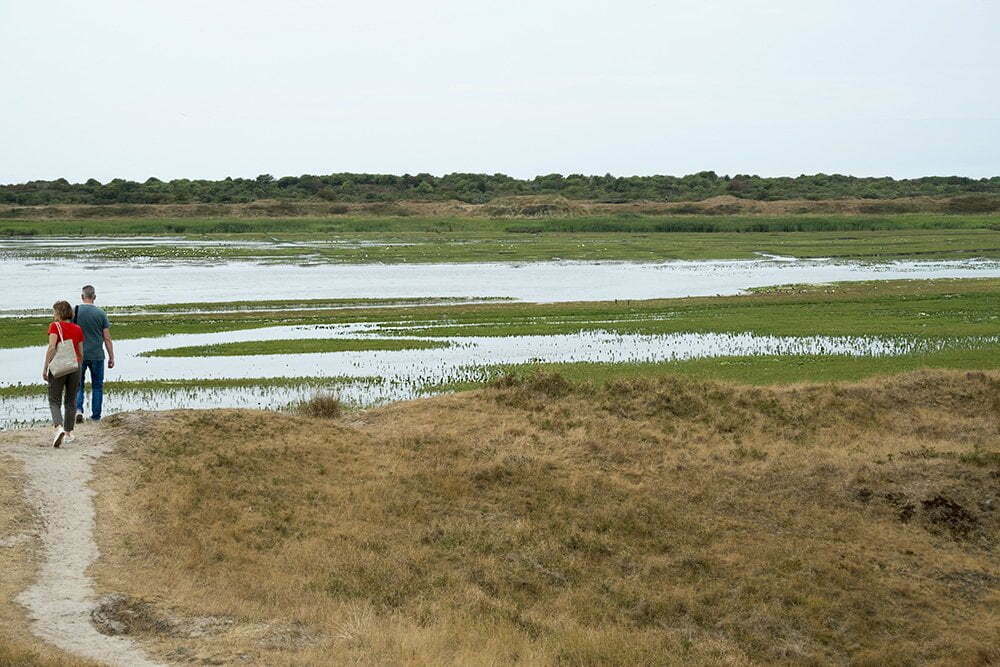 Texel: beschermd natuurgebied