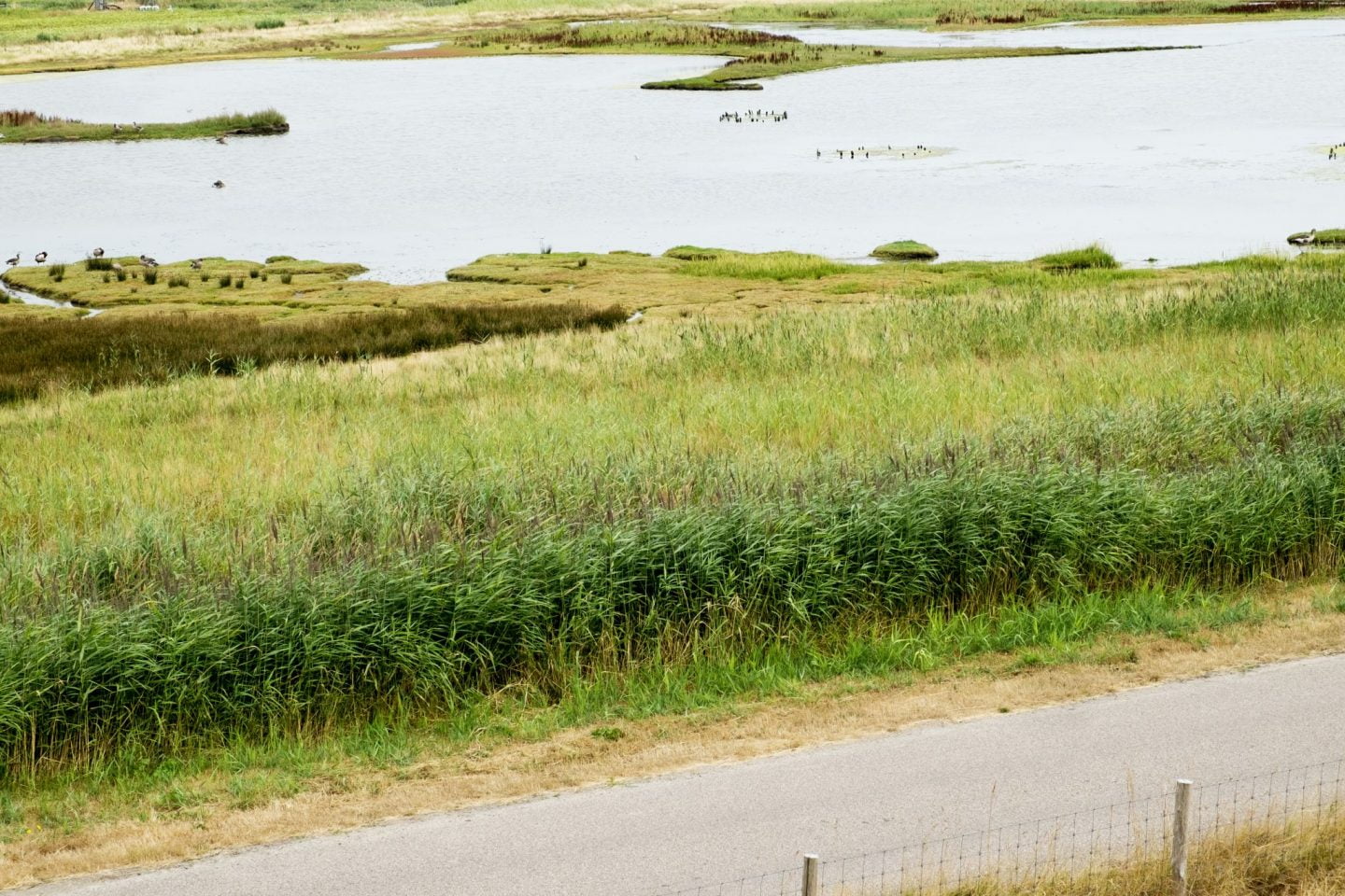 Texel: beschermd natuurgebied