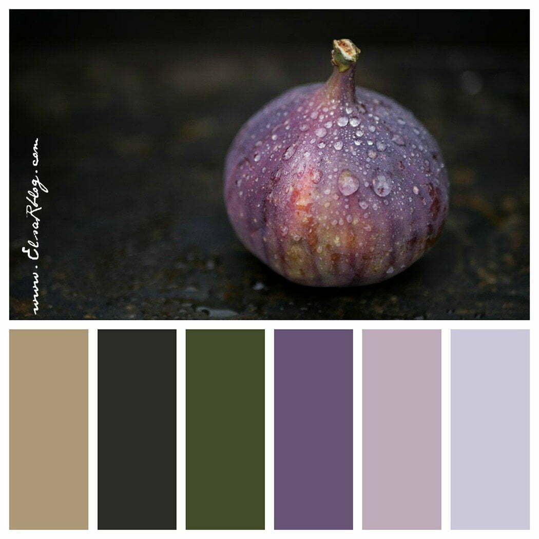 kleurenpalet paars, lila, bruin nr.14 – ElsaRblog