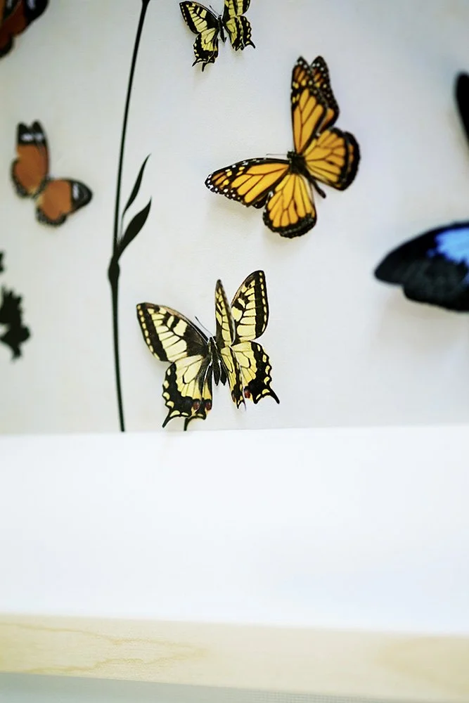 Ikea fotolijst Hovsta met vlinders - Free printable