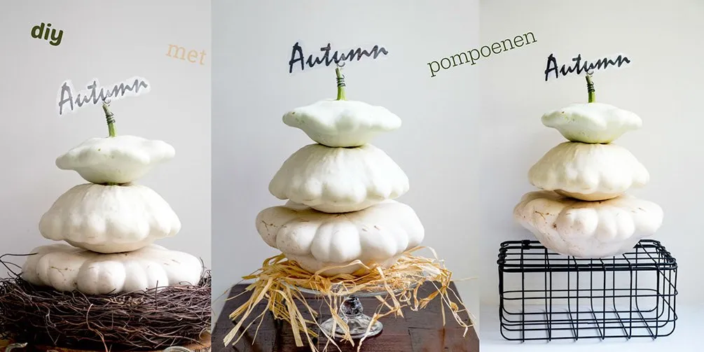 Autumn diy met pompoenen - Free Printables