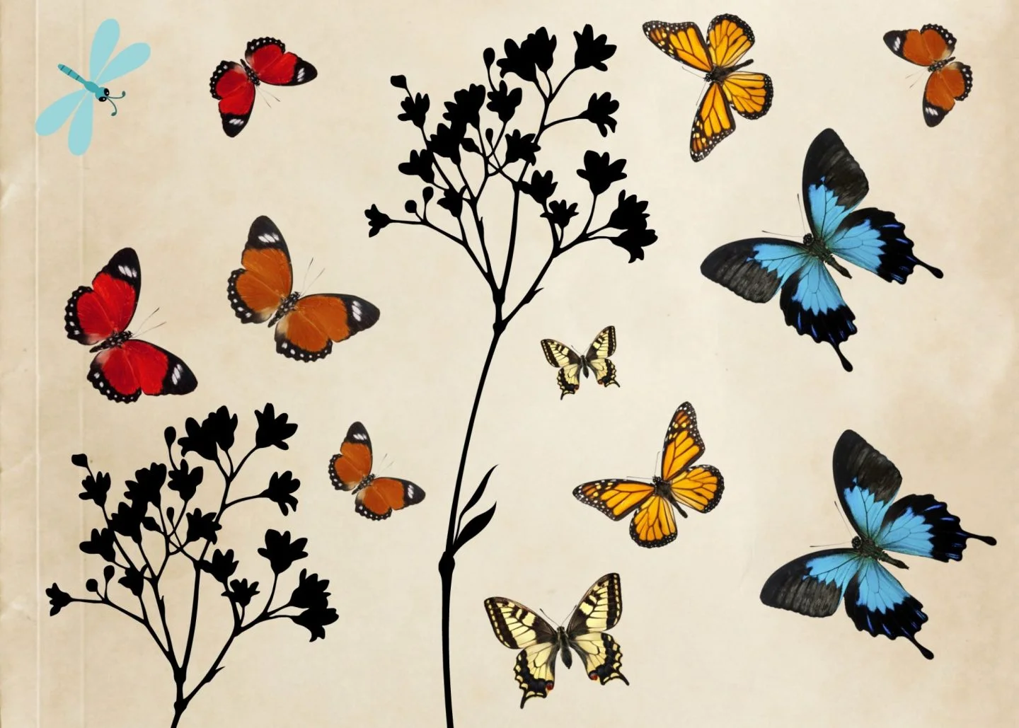 A4 Free Printable vlinders ElsaRblog. free printable