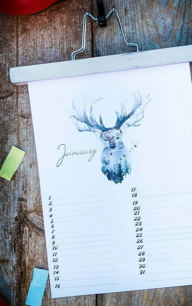 Free Birthday Calendar (verjaardagskalender) &ndash; nr. 1 January