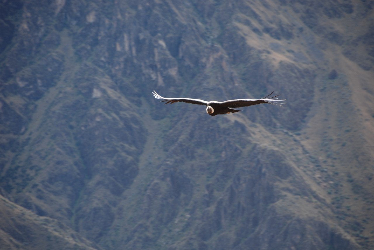 Peru