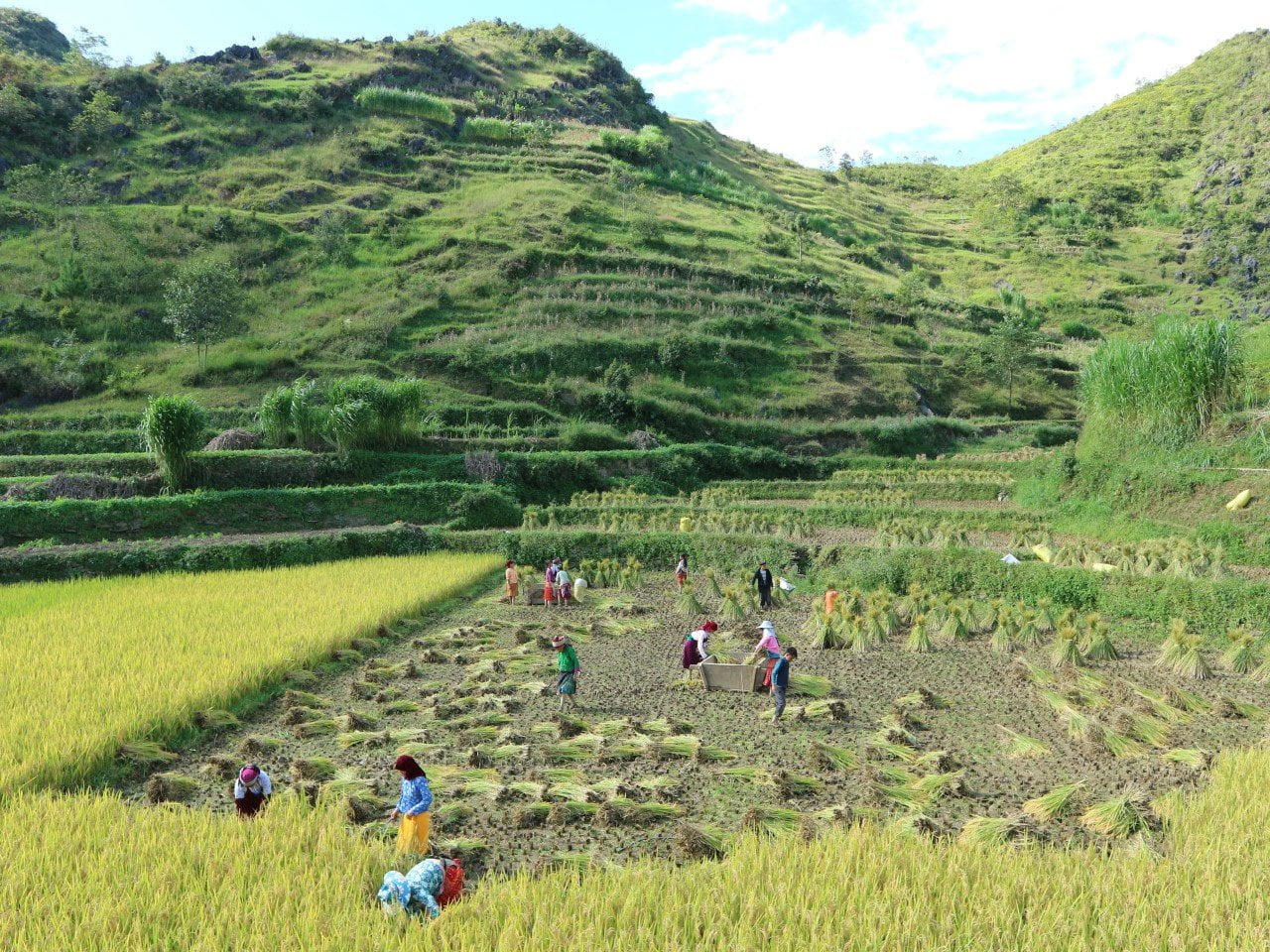 Anna Korenromp Vietnam