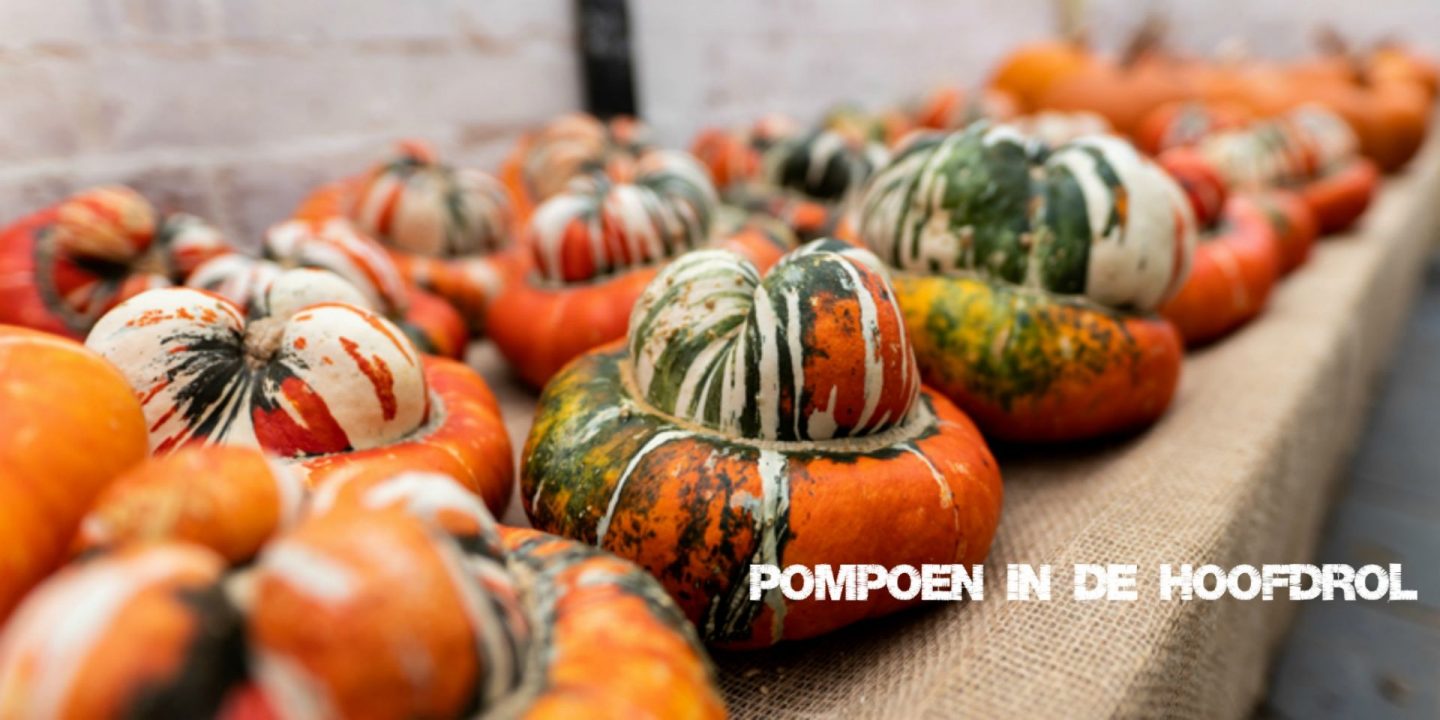 Pompoen in de hoofdrol Foto van spillmytea.com