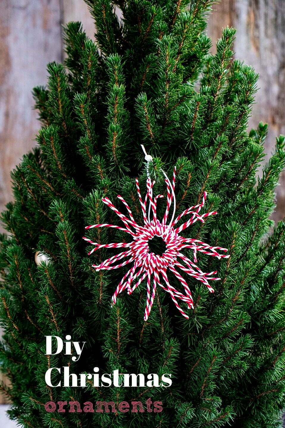 Makkelijk Kerst ornamenten maken – Diy