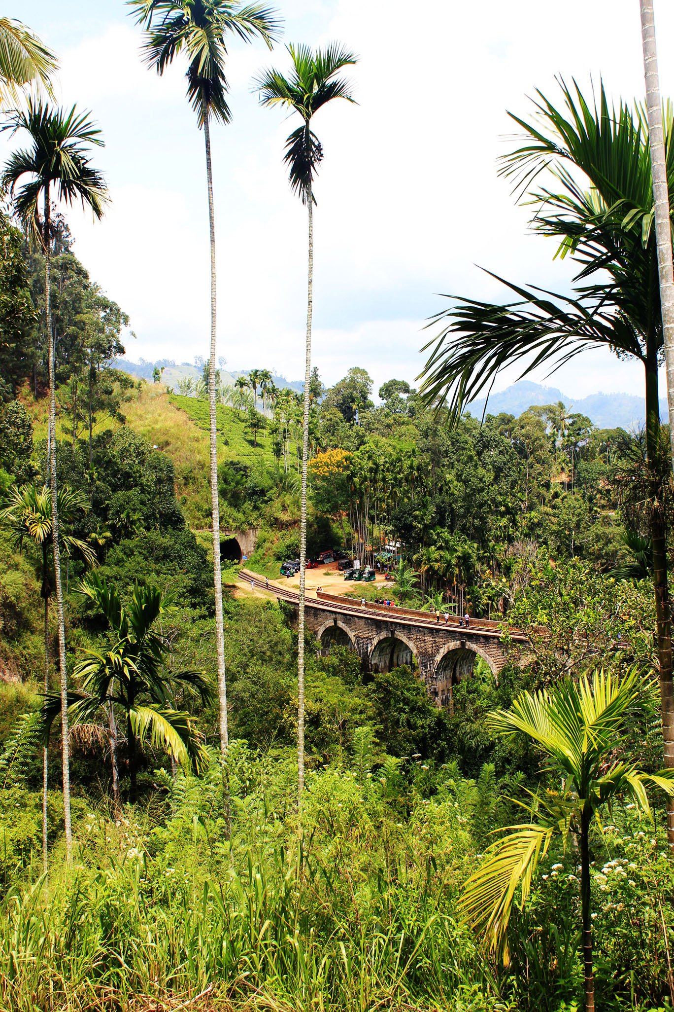 Sri Lanka jorindeesthe 