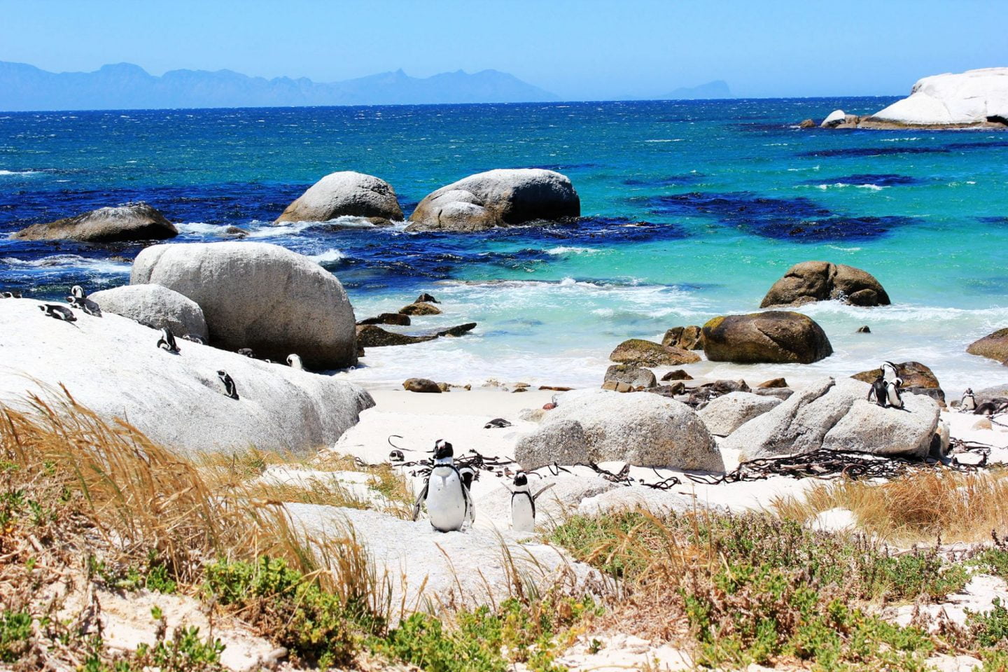 Zuid Afrika jorindeesthe