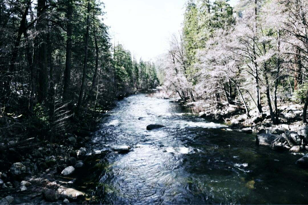 Amerika: Yosemite National Park Amerika: Yosemite National Park (inspiration nl)
