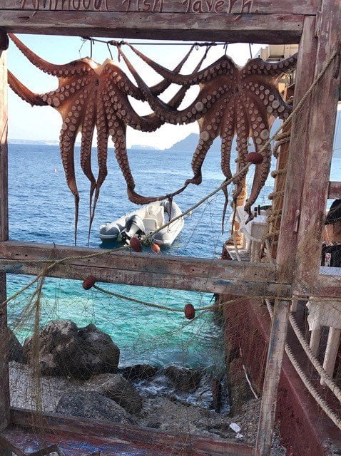 Amoudi: De octopussen hangen zelfs nog voor de restaurantjes te drogen. Amoudi: De octopussen hangen zelfs nog voor de restaurantjes te drogen.