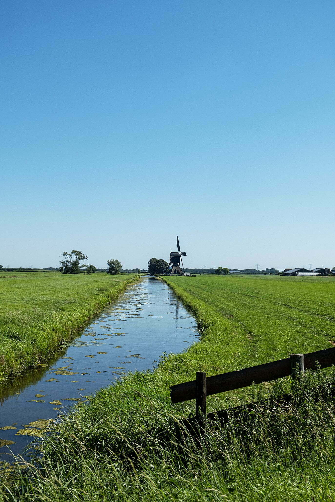 Hollands polderlandschap, de mooie weiden, koeien en paarden, verschillende kerktorens en molens.