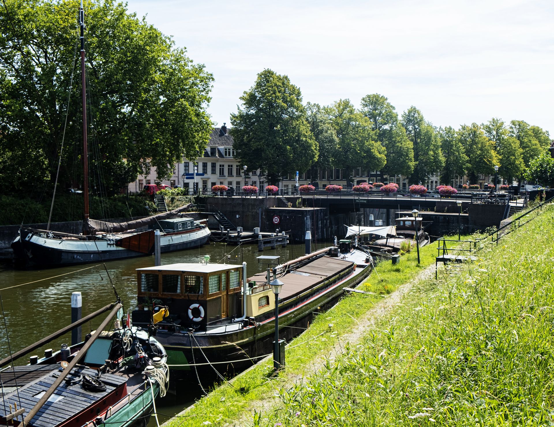 Groene hart van Nederland