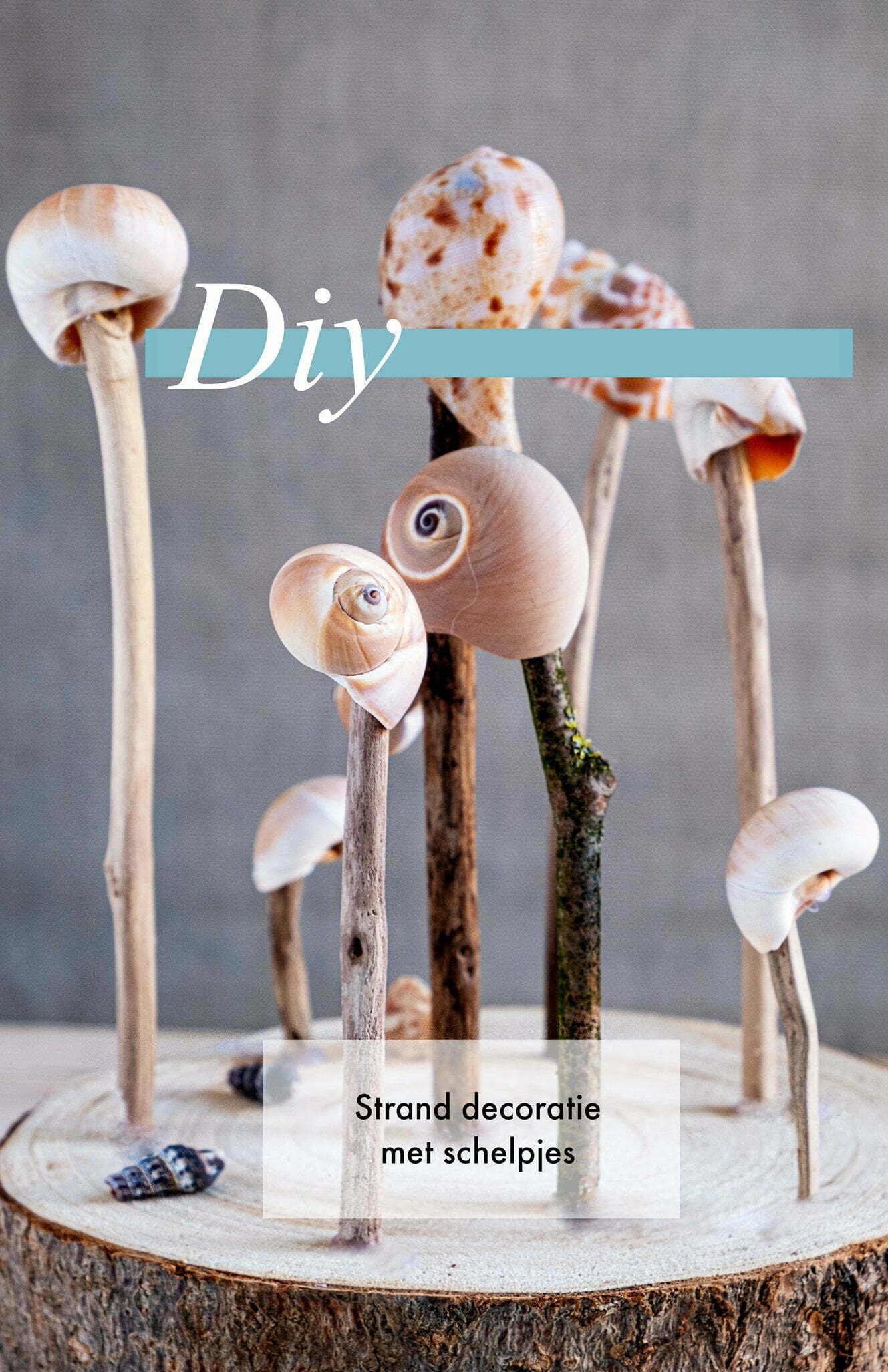 Strand decoratie Pin Strand decoratie met schelpjes - Diy