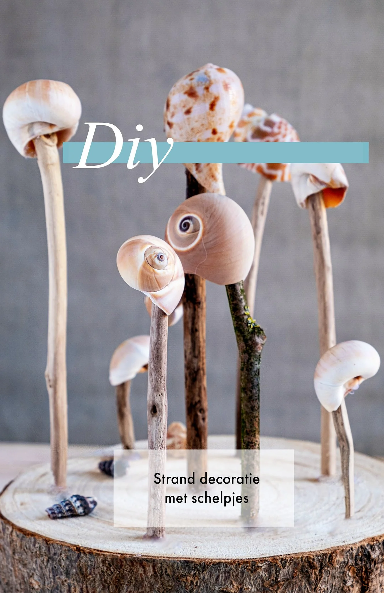 Pin Strand decoratie met schelpjes - Diy
