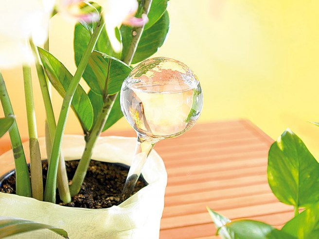 Plant Genie Plant Genie