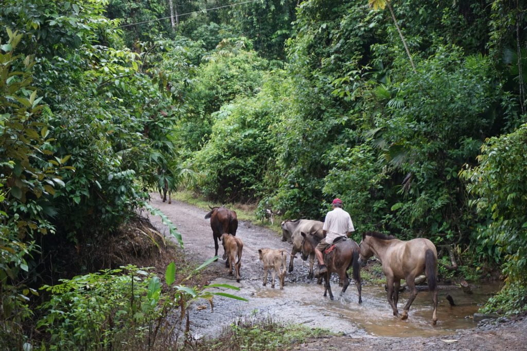 Ik woon mooi: Platteland Costa Rica