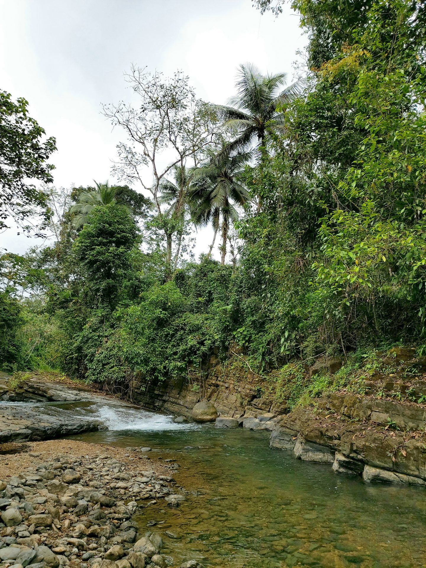 Rivier Dos Bocas