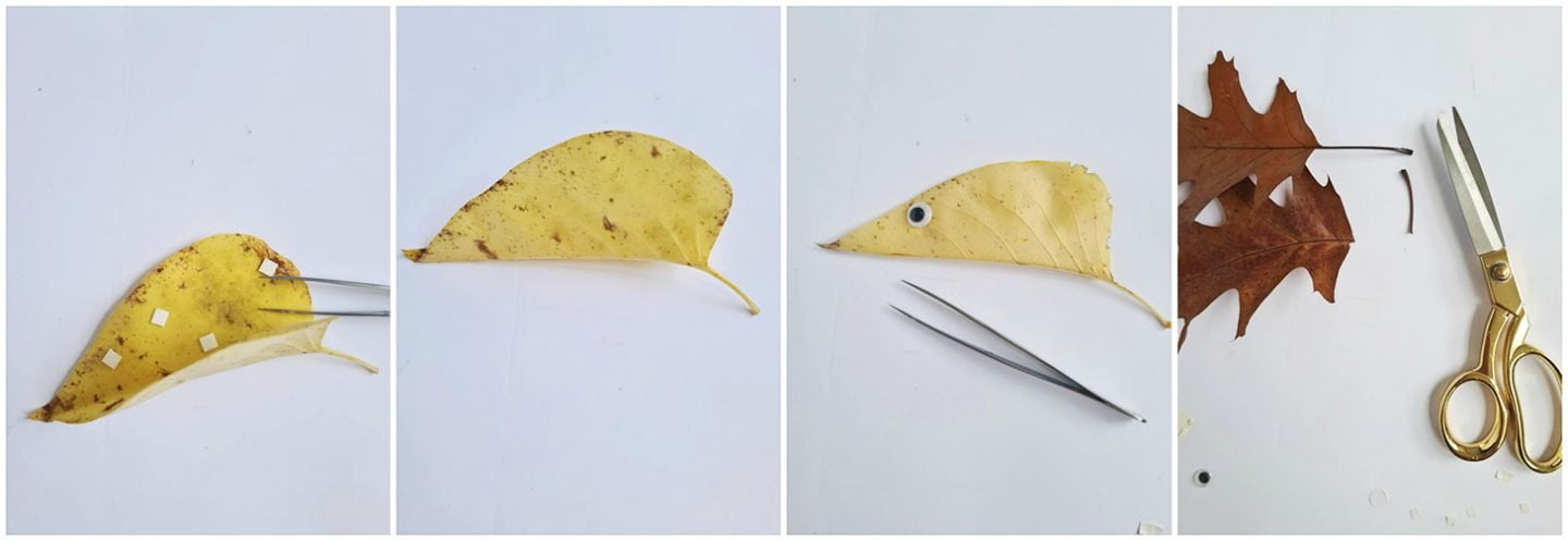 Knutselen met herfstbladeren Knutselen met herfstbladeren