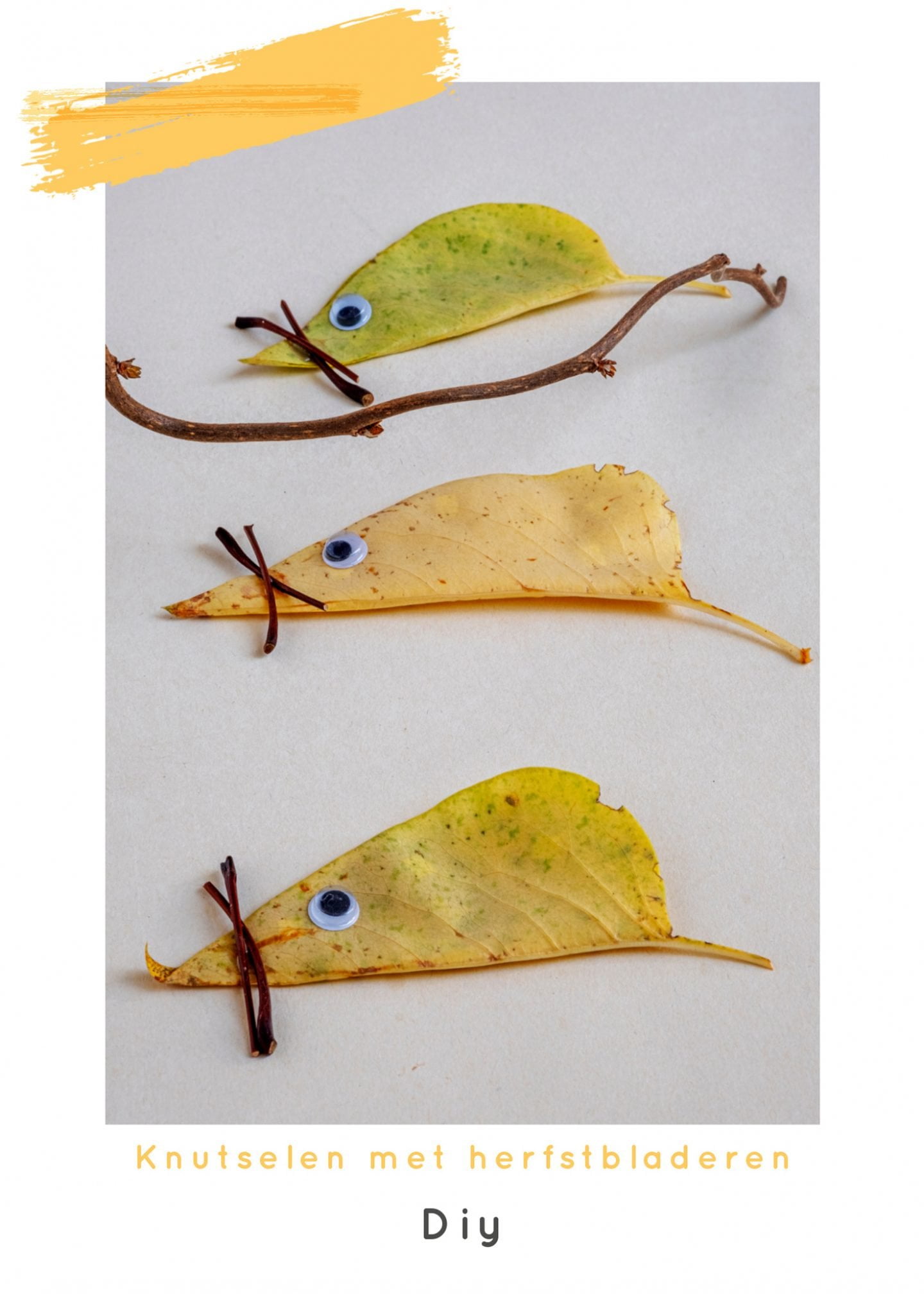 Knutselen met herfstbladeren diy Knutselen met herfstbladeren diy