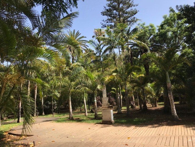 Park in Santa Cruz de Tenerife Park in Santa Cruz de Tenerife