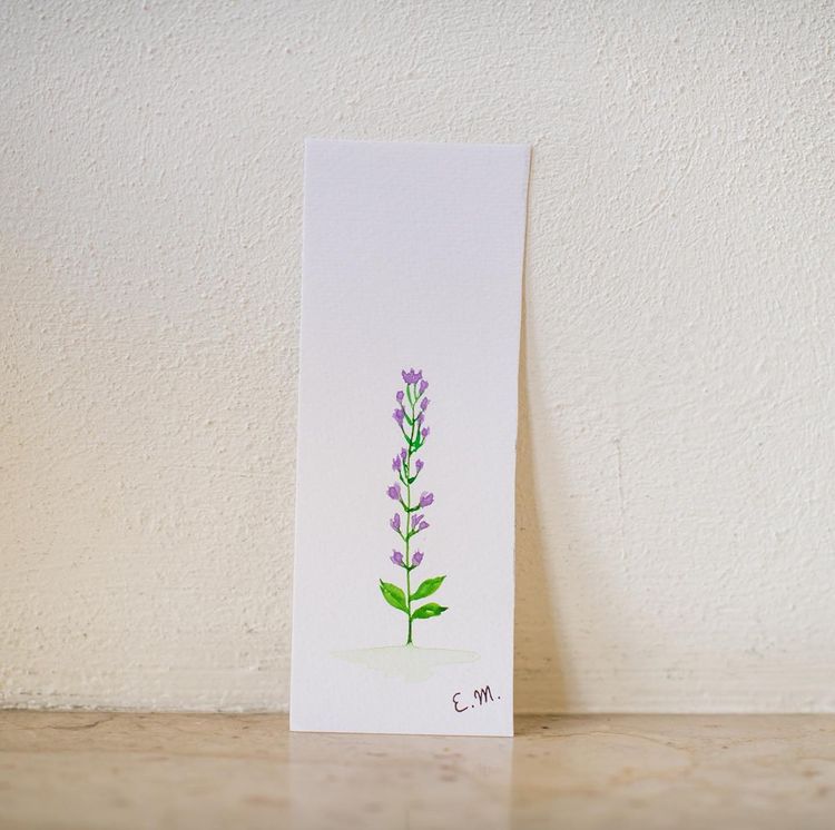 elke.martens.art: Boekenleggers met bloemetjes elke.martens.art: Boekenleggers met bloemetjes