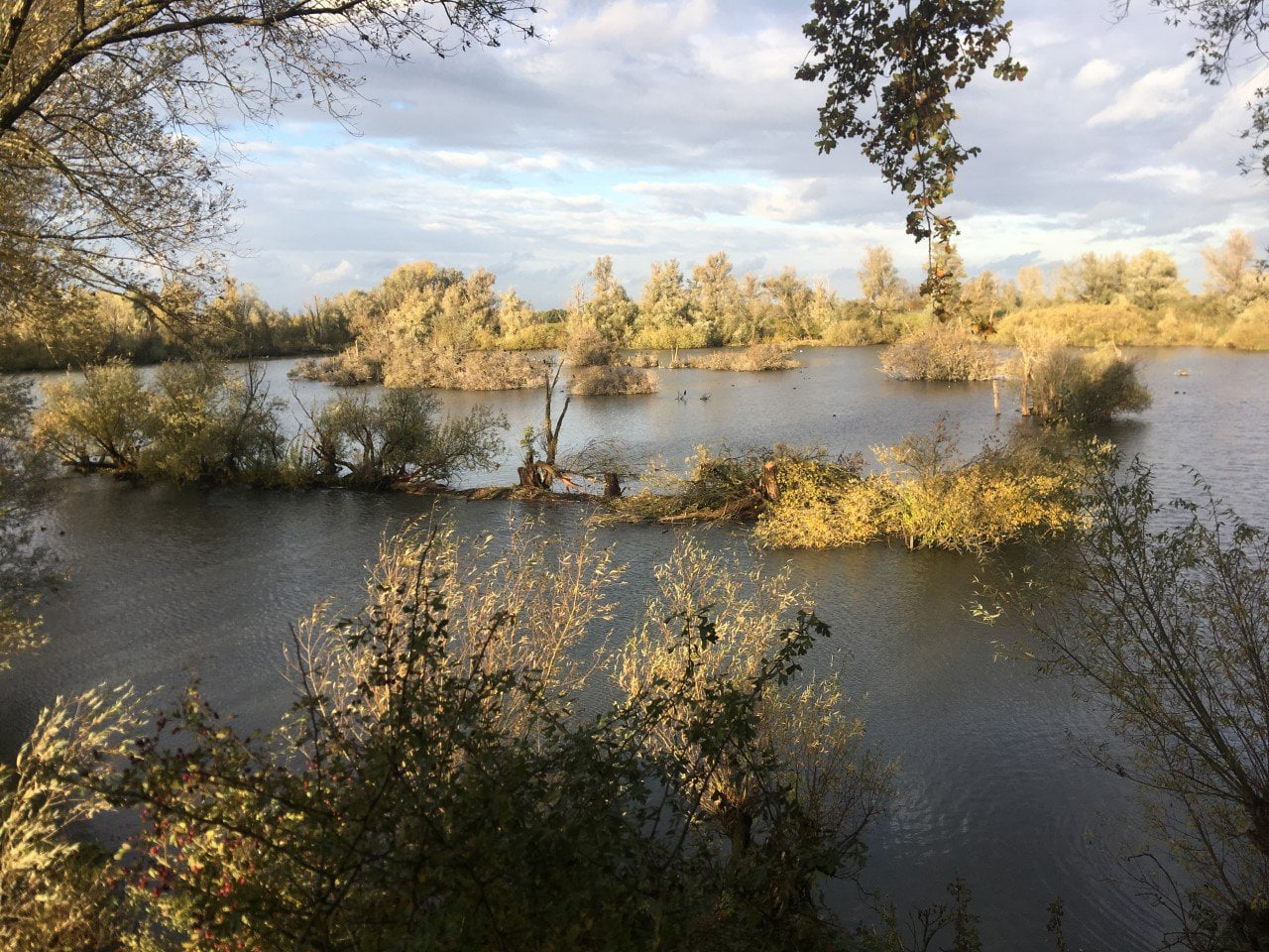 Utrechtse Heuvelrug; Blauwe Kamer