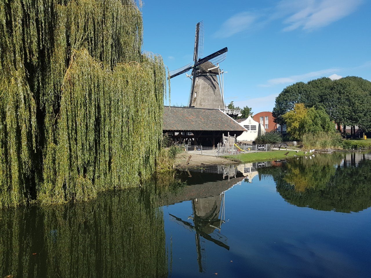 Molen de Ster Molen de Ster