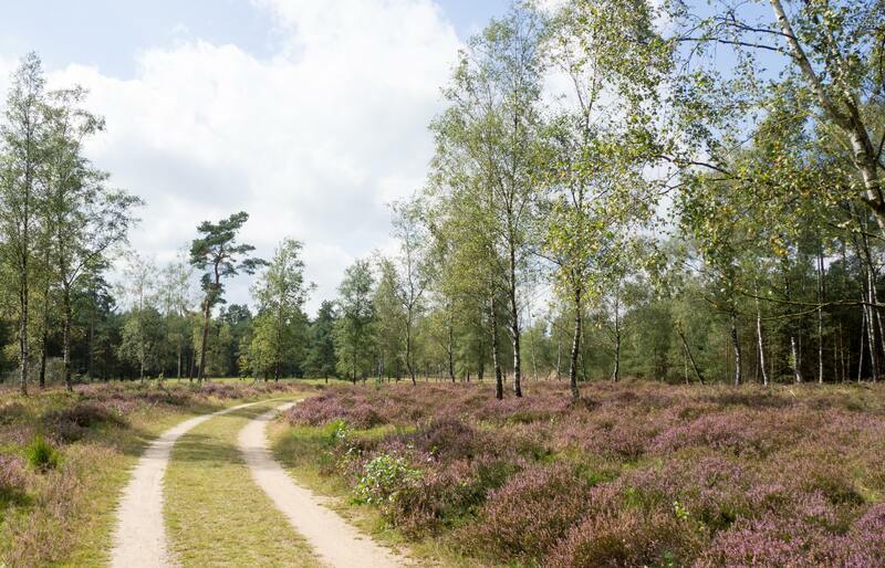 Weekendje Veluwe Weekendje Veluwe