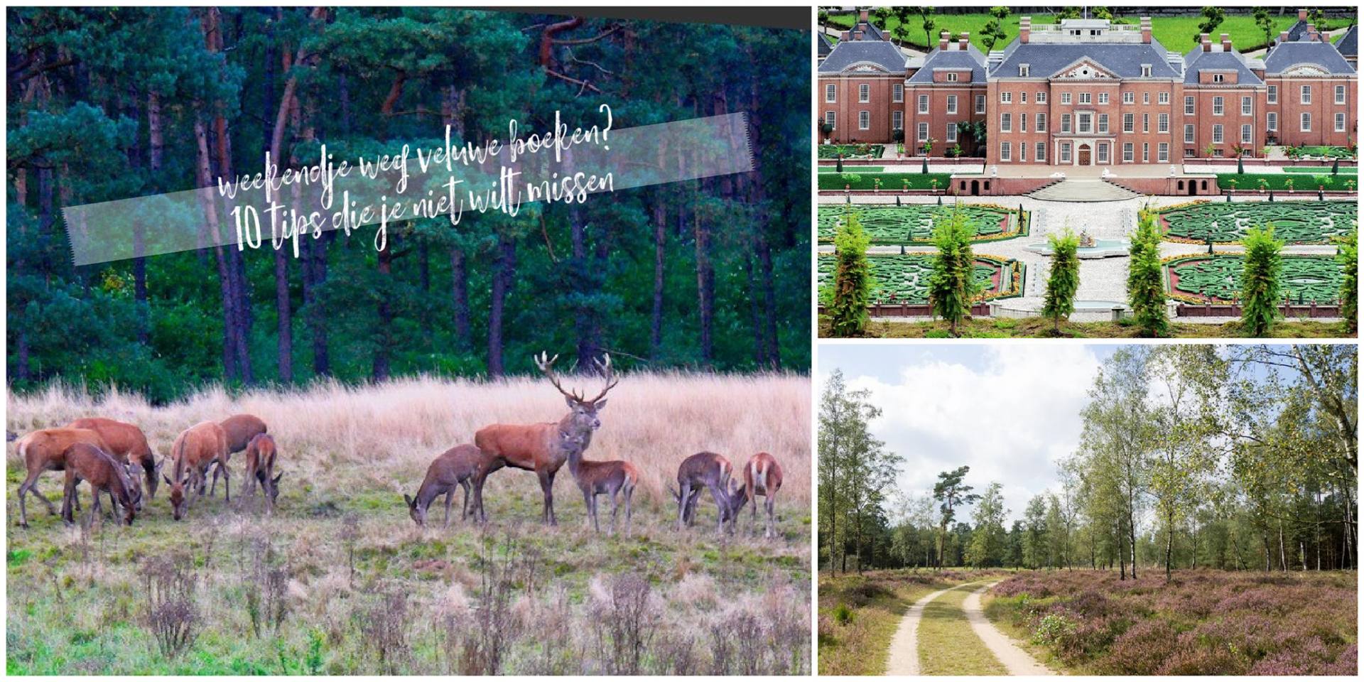 Weekendje weg Veluwe boeken? 10 tips die je niet wilt missen Weekendje weg Veluwe boeken? 10 tips die je niet wilt missen
