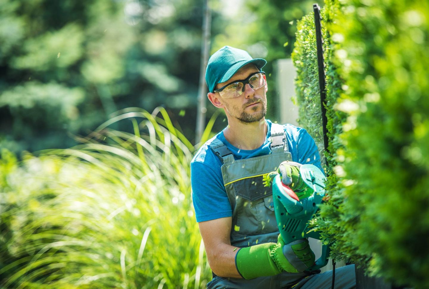 Het belangrijkste gereedschap voor in de tuin