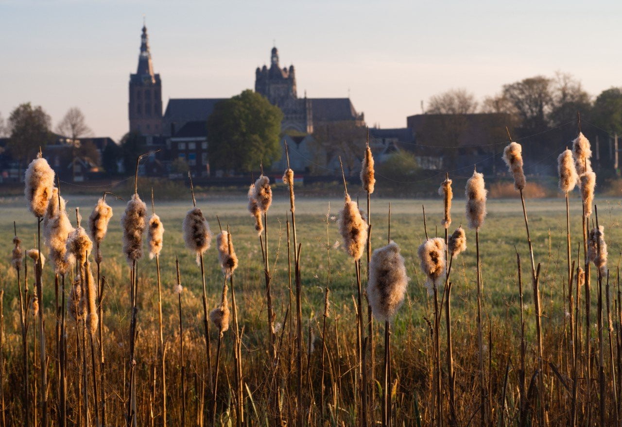  ik woon in ’s-Hertogenbosch; Het Bossche Broek 