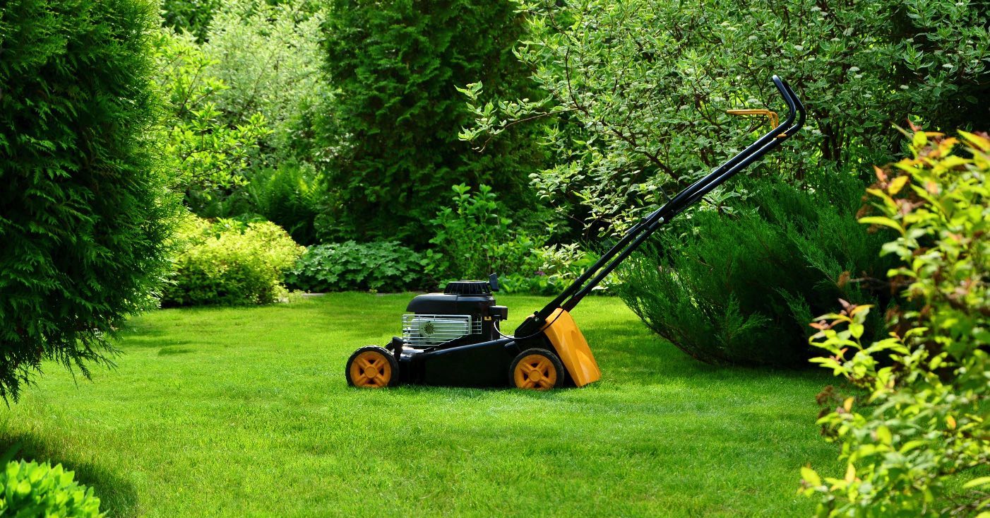 De herfst: het moment voor je gazon