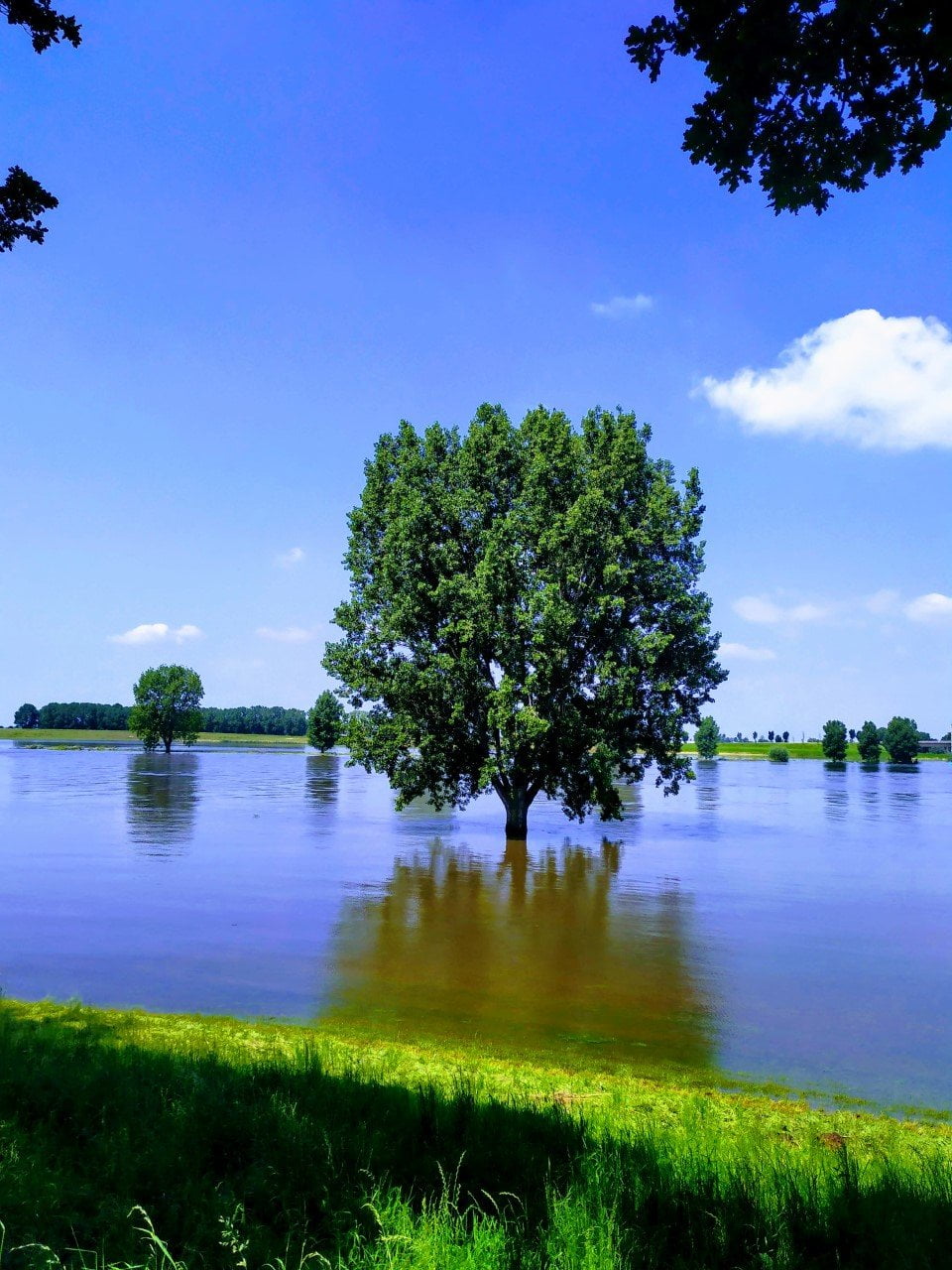 Heusden Heusden