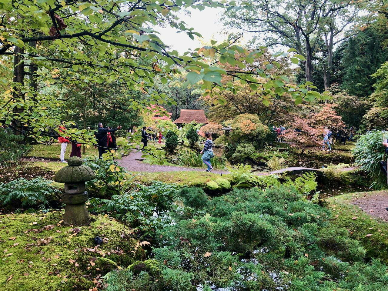  Den Haag: Japanse tuin