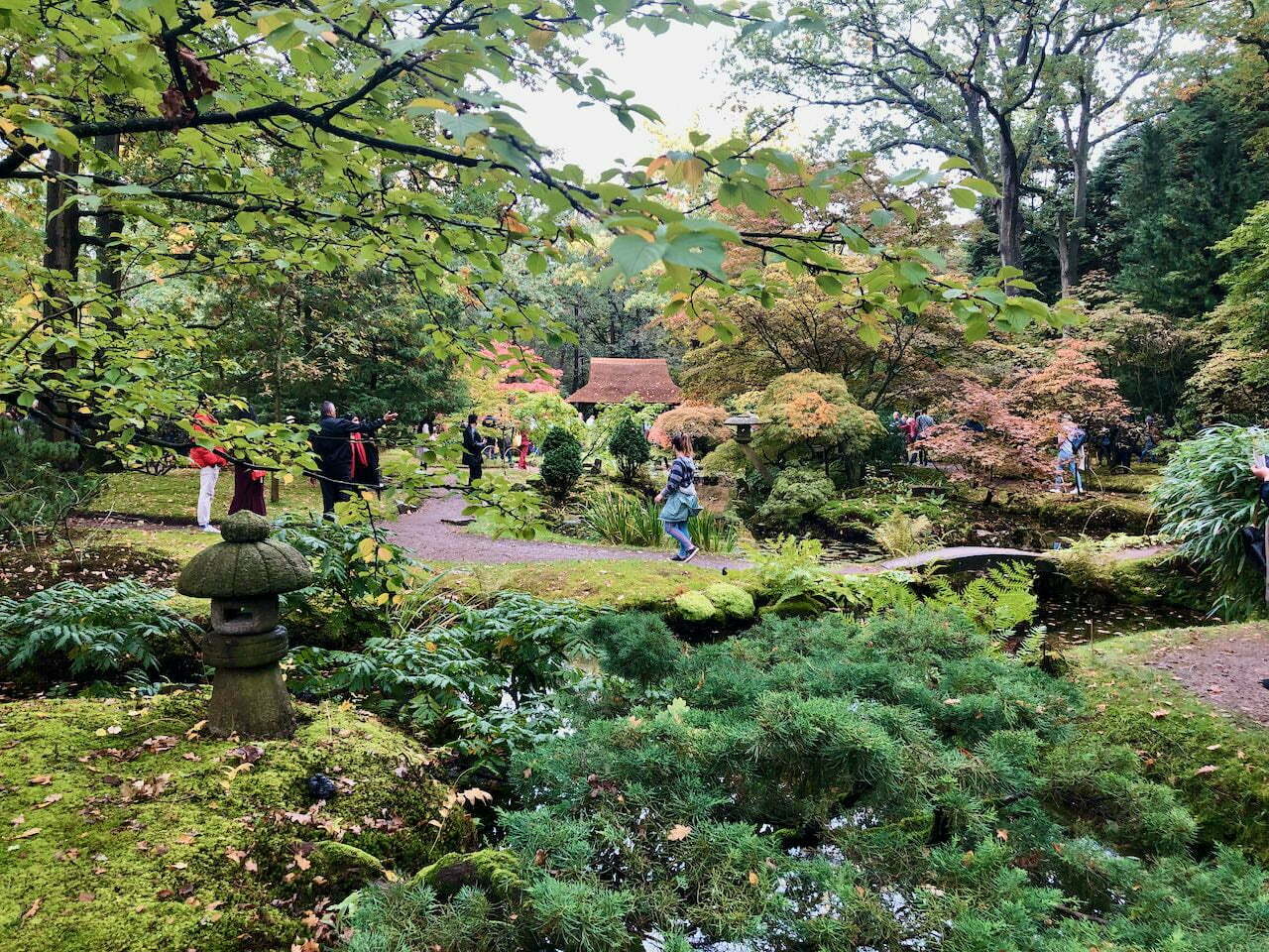 Den Haag: Japanse tuin Den Haag: Japanse tuin