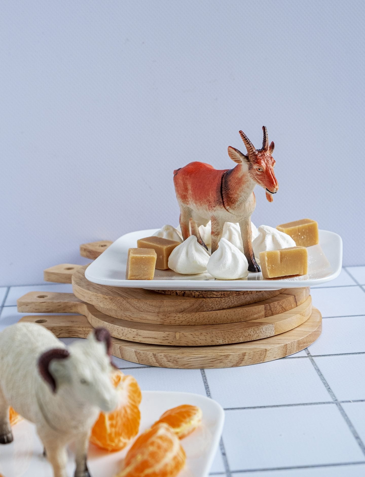 Diy borden met dieren Diy borden met dieren