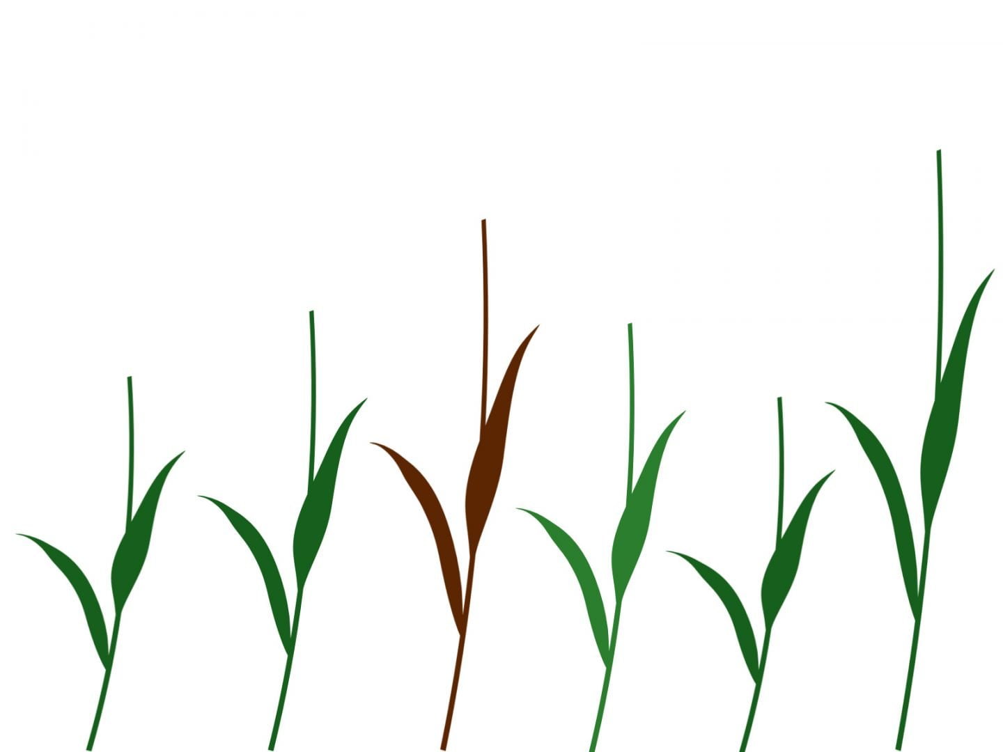 Tulpen verven met een vork: A4 Bloemstelen ElsaRblog Tulpen verven met een vork: A4 Bloemstelen ElsaRblog