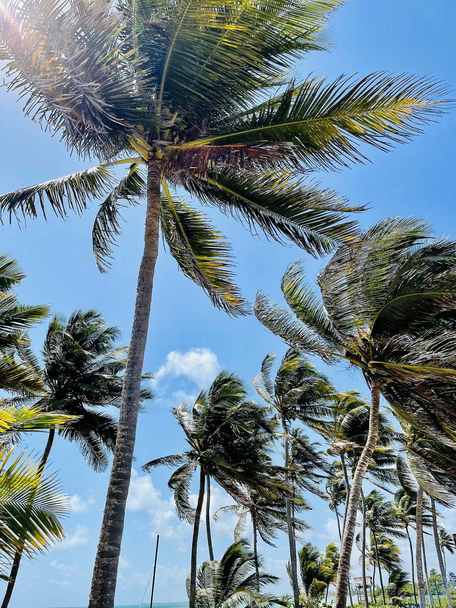 Playa Santa Lucia