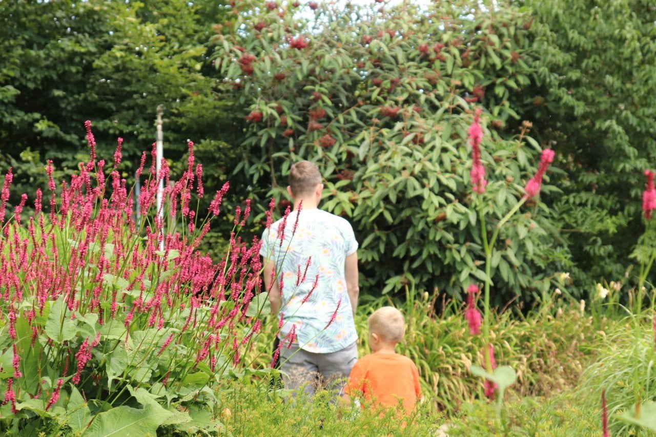 De Vaste Planten tuin in de tuinen van appeltern