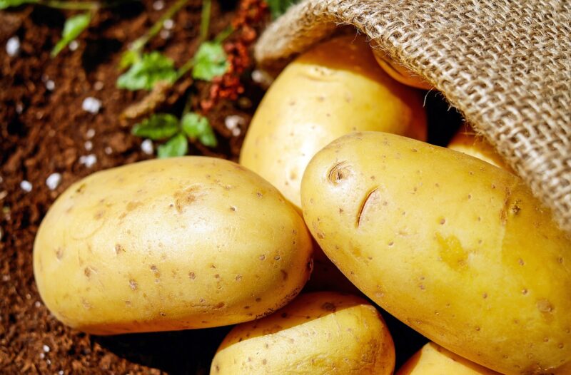 Het overzicht Hoeveel gram aardappelen per persoon heb je nodig? ElsaRblog