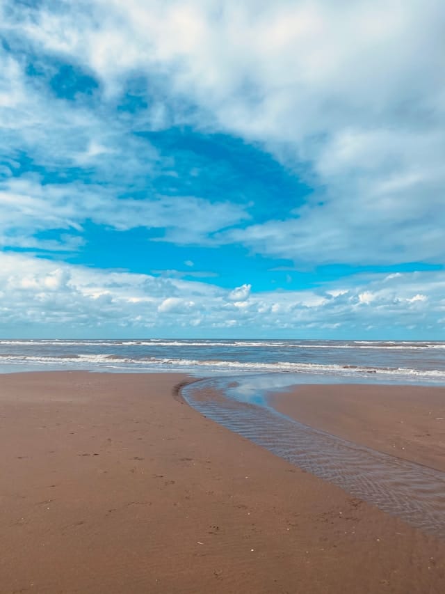 Een dag in Zandvoort vanuit Amsterdam